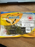 Pro Water Baits Tricky Vicky Urchin 4" 6pcs