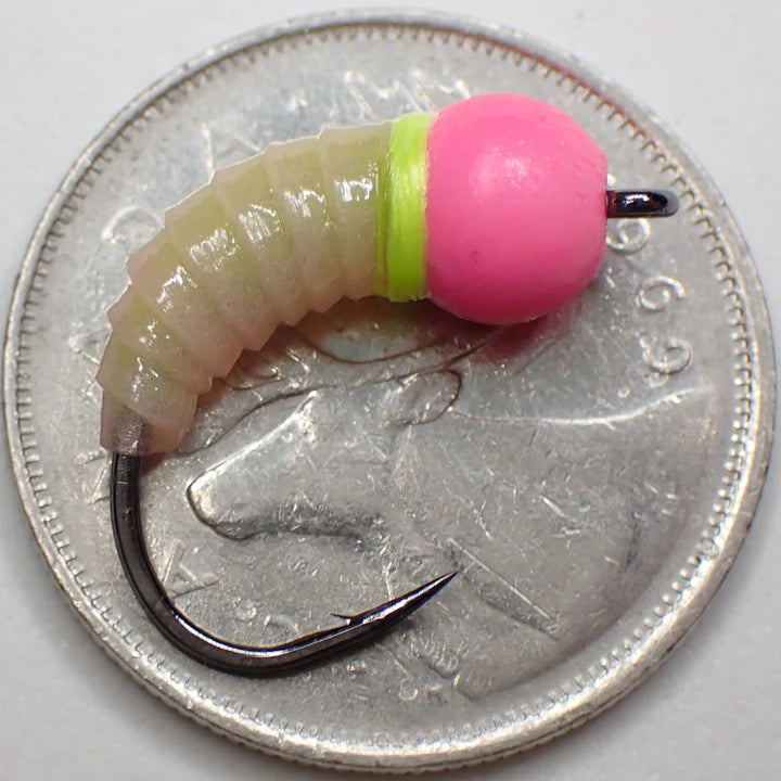 Si Flies Simcoe Bug 1/13