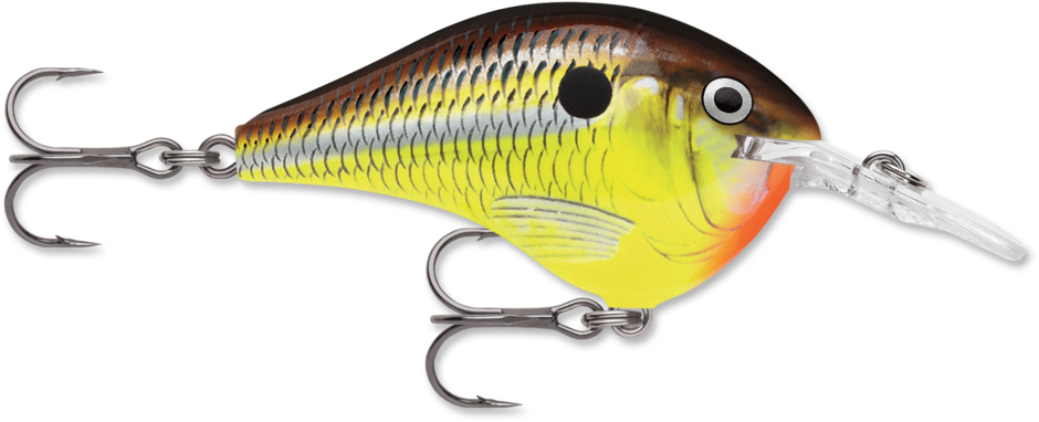 Rapala DT-4 Divers