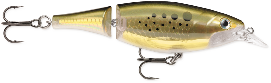 Rapala X- Rap Xtreme Action Jointed Shad 13