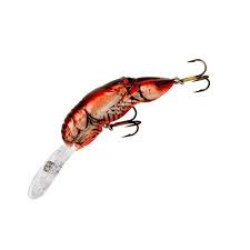Rebel Crawfish