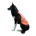 Backwoods Dog Blaze Orange Safety Vest