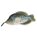 Steel Dog Denim Crappie Dog Toy
