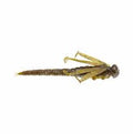 FishLab Flutter Nymph
