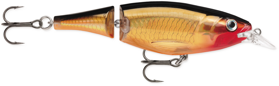 Rapala X- Rap Xtreme Action Jointed Shad 13