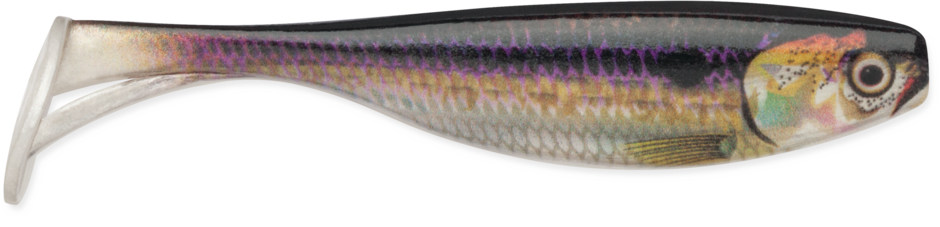 Storm Largo Shad 3" 7 PC
