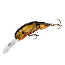 Rebel Crawfish