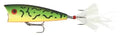 Rebel Magnum Pop-R