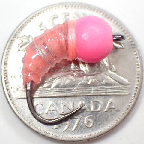 Si Flies Simcoe Bug 1/13