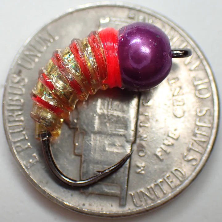 Si Flies Simcoe Bug 1/13