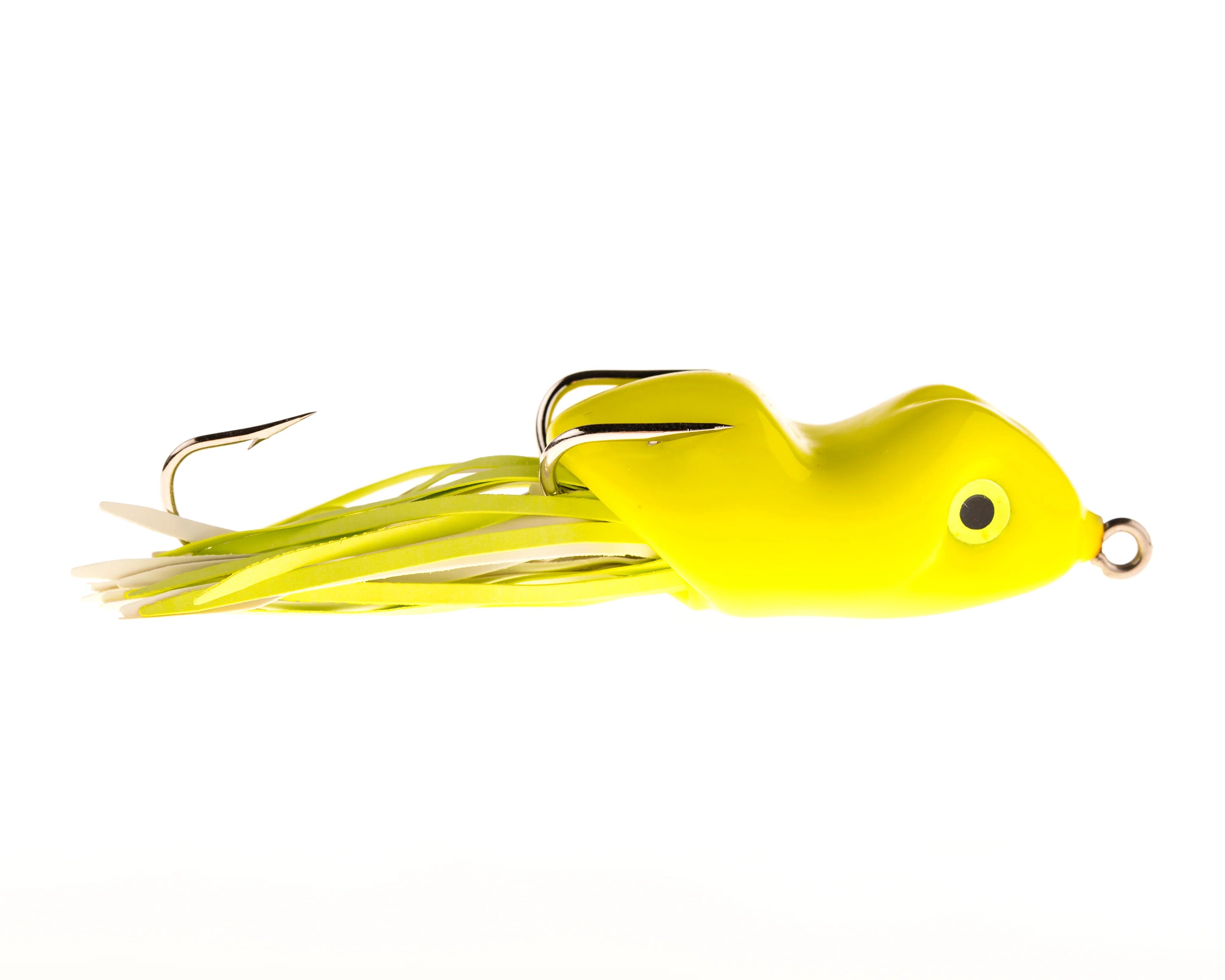 Scum Frog Jr