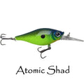 Walleye Nation WNC Shaky Shad 5