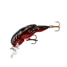 Rebel Crawfish